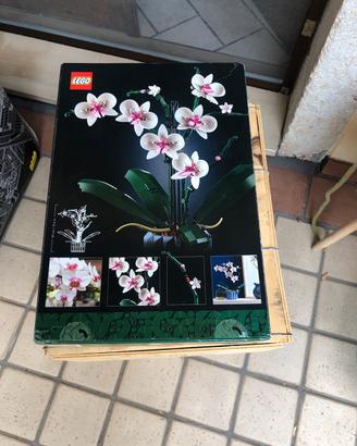 Lego botanicals