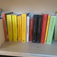 Libri seminuovi recenti