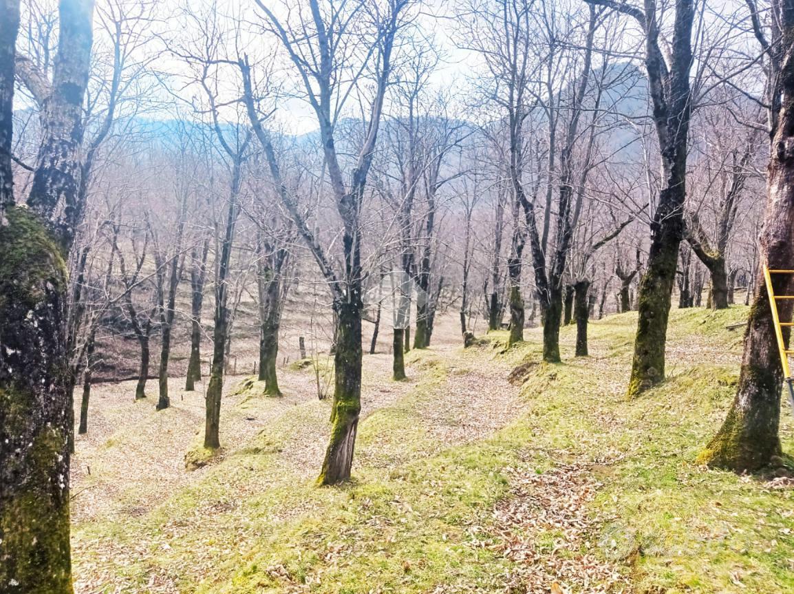 TER. AGRICOLO A SERINO - Vista 2
