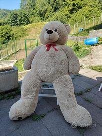 Peluches orso gigante