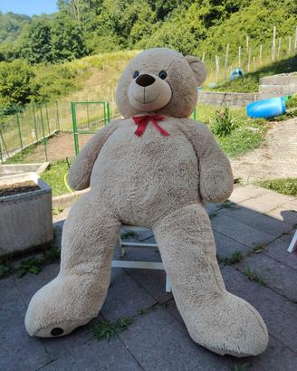 Peluches orso gigante