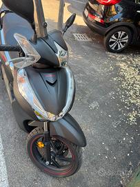 Sh 300 sport