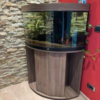 Acquario Juwel Trigon 190 Led