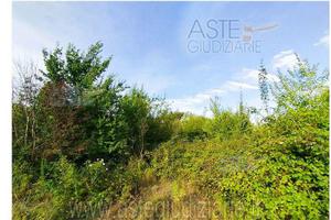 Terreno Agricolo Pistoia [A4353904]