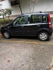 Fiat panda nera