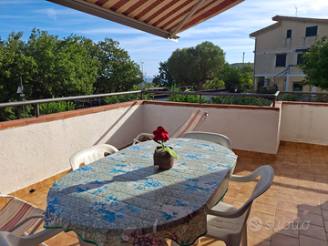 Palinuro estate 2026