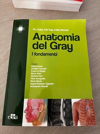 Anatomia del Gray i fondamenti
