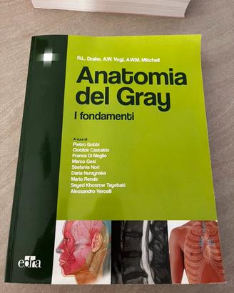 Anatomia del Gray i fondamenti