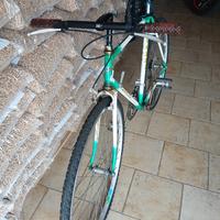 bicicletta da passeggio