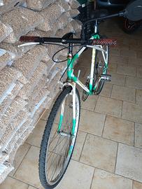 bicicletta da passeggio