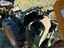 Immagine 4