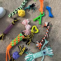 Giochi per cani