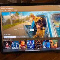 iPad Pro 12.9 5Th 256GB