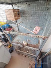 voliera per pappagalli 