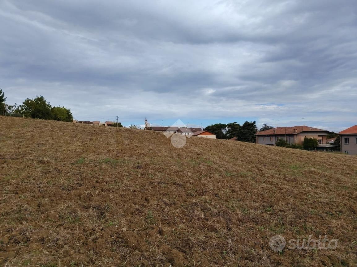 TER. AGRICOLO A LONGIANO - Altro
