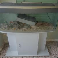 Aquario 100L