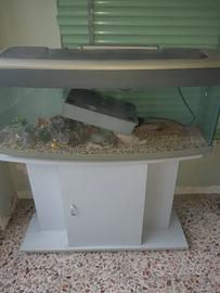 Aquario 100L