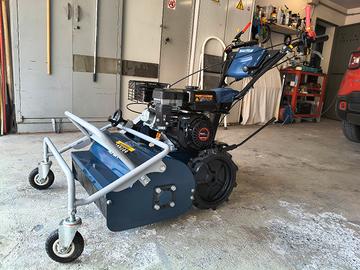 Trincia erba e sarmenti