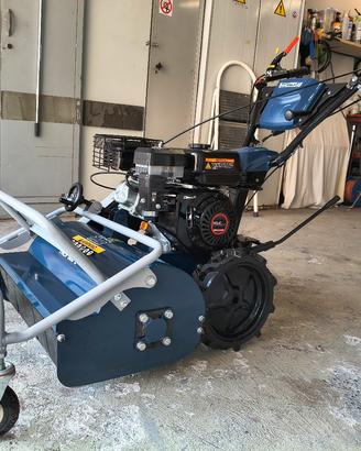 Trincia erba e sarmenti