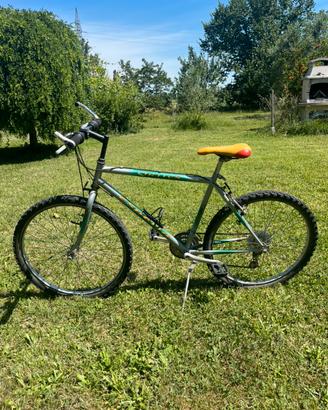 Bicicletta Mountain Bike Vintage - Funzionante
