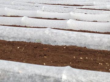 AGROVEL TNT 60gr 1,6x250mt