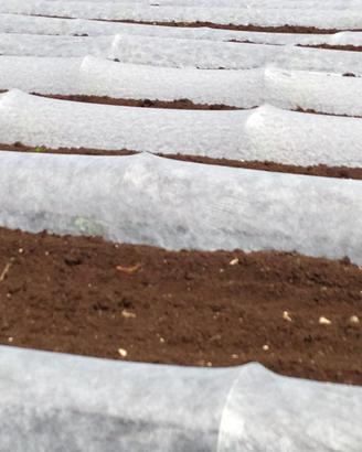 AGROVEL TNT 60gr 1,6x250mt