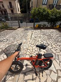 Bici elettrica koolux