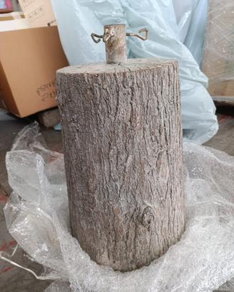 Tronco base albero