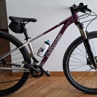 Mtb cannondale