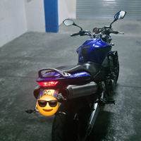 Hornet 900