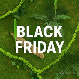 Muschio stabilizzato su misura