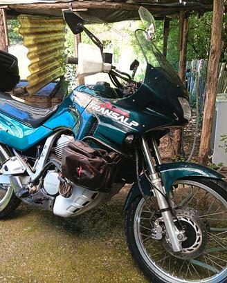 transalp 600 