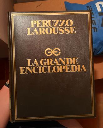 LA GRANDE ENCICLOPEDIA - PERUZZO LAROUSSE