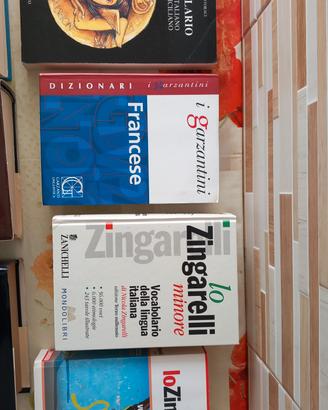 Vocabolari e Dizionari 