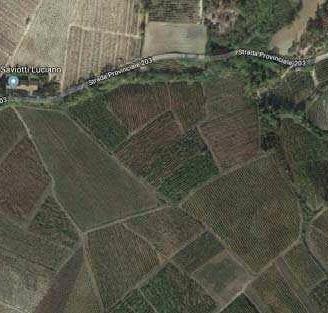 RGE 628/2018 Trib Pavia - LOTTO 9