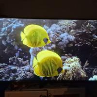 TV led LG 55" 4K