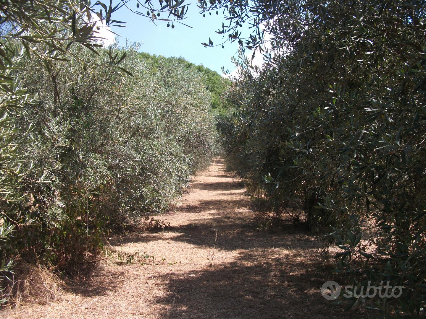 Appartamento – Gualdo Tadino, Corcia - Altro
