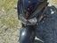 Immagine 2