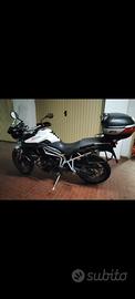 Triumph Tiger 800 2011