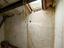Immagine 19