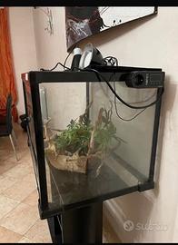 Teca in vetri per camaleonti