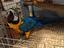 Immagine 1