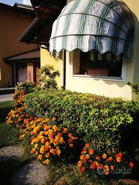 Tenda da sole