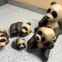 Thun famiglia panda