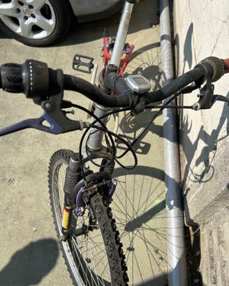 Bicicletta