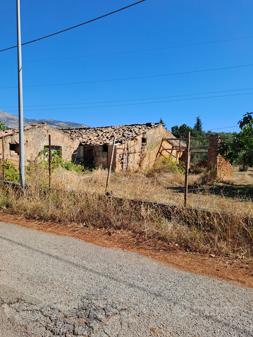 Terreno con rustico e ulivi - Vista 3