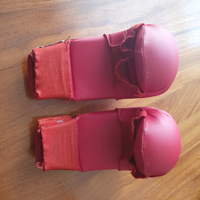 Guantino karate kumite