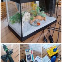 Acquario con accessori 43x24x33h cm