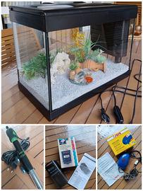 Acquario con accessori 43x24x33h cm