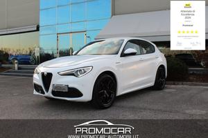 ALFA ROMEO Stelvio 2.2 TURBODIESEL 210 CV AT8 Q4